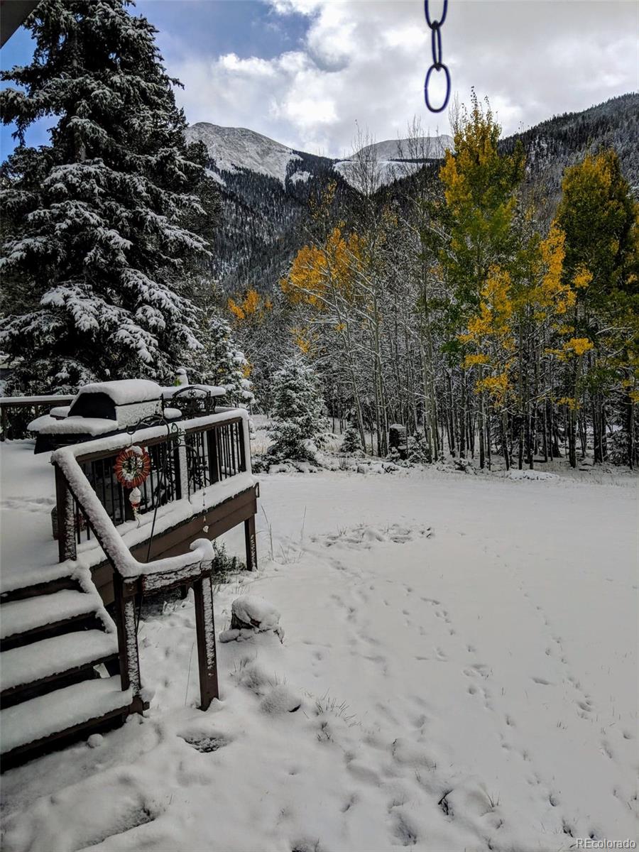 MLS Image #13 for 22585  county road 292 ,nathrop, Colorado