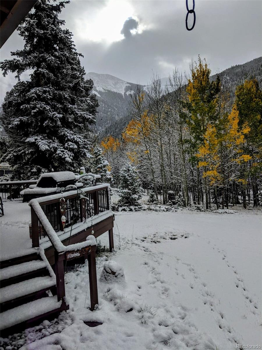 MLS Image #14 for 22585  county road 292 ,nathrop, Colorado