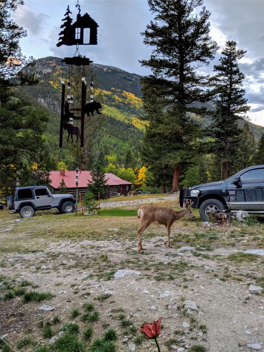 MLS Image #16 for 22585  county road 292 ,nathrop, Colorado