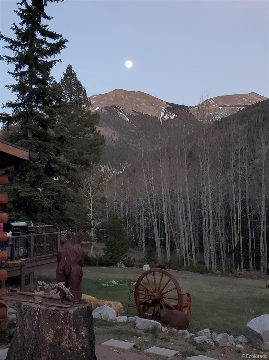 MLS Image #17 for 22585  county road 292 ,nathrop, Colorado