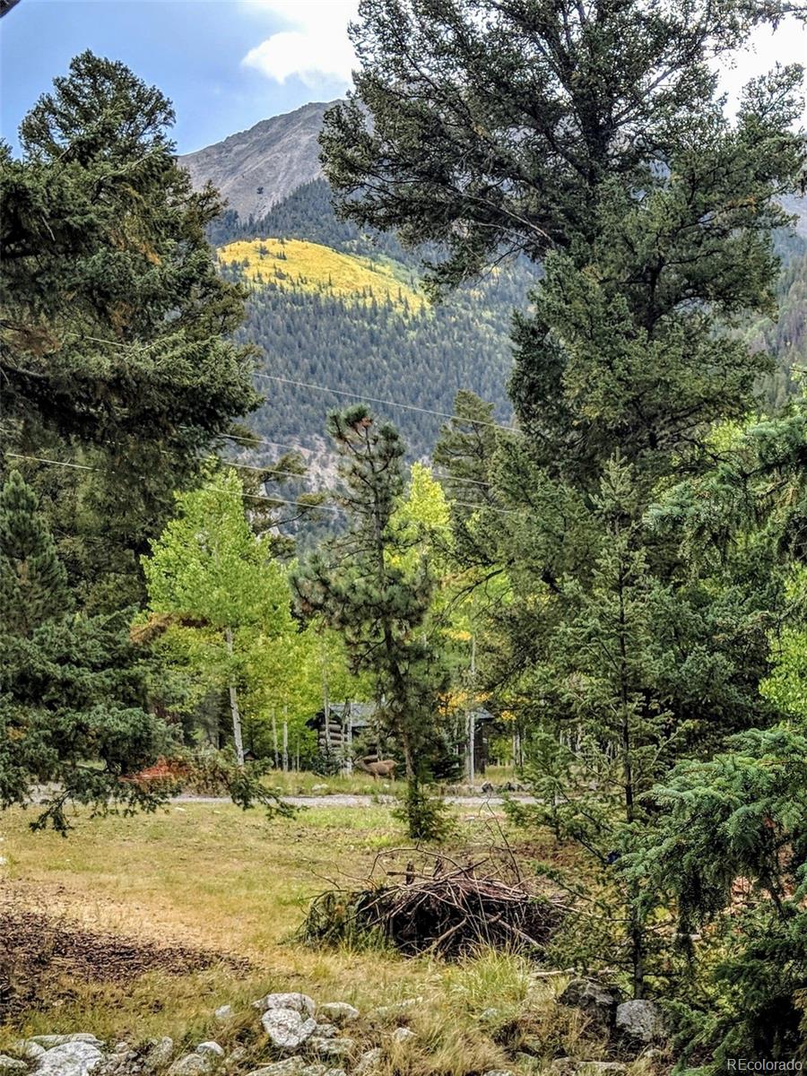 MLS Image #20 for 22585  county road 292 ,nathrop, Colorado