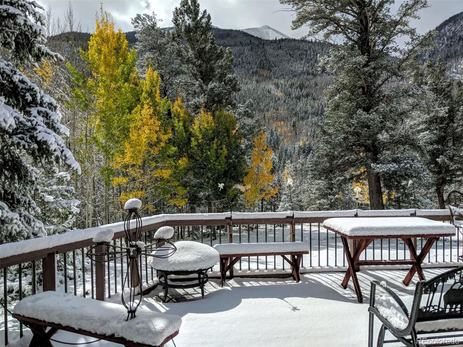 MLS Image #21 for 22585  county road 292 ,nathrop, Colorado