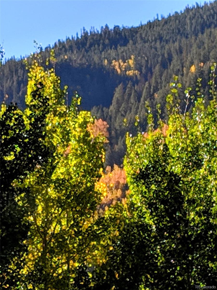 MLS Image #22 for 22585  county road 292 ,nathrop, Colorado