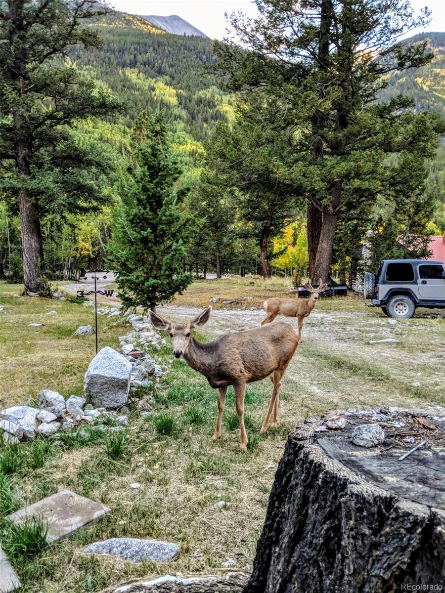MLS Image #24 for 22585  county road 292 ,nathrop, Colorado