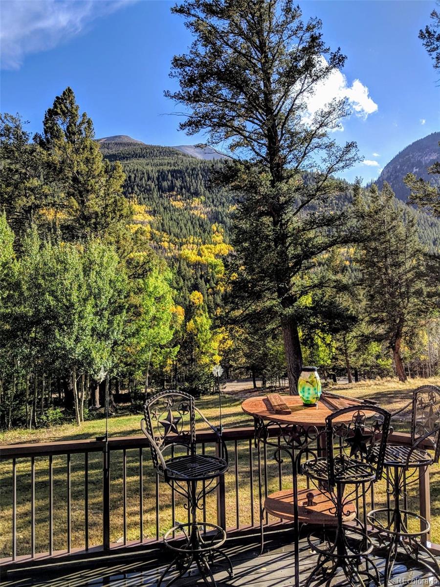 MLS Image #25 for 22585  county road 292 ,nathrop, Colorado