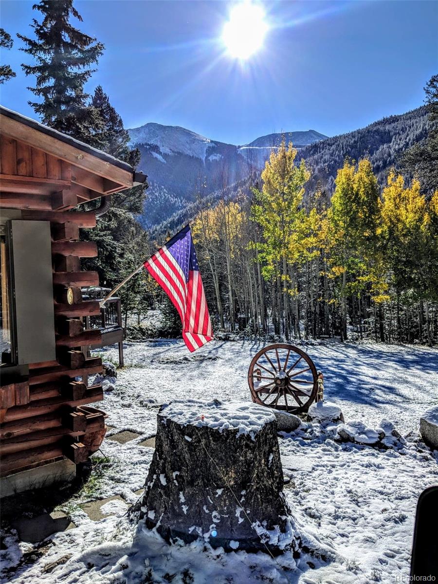 MLS Image #27 for 22585  county road 292 ,nathrop, Colorado