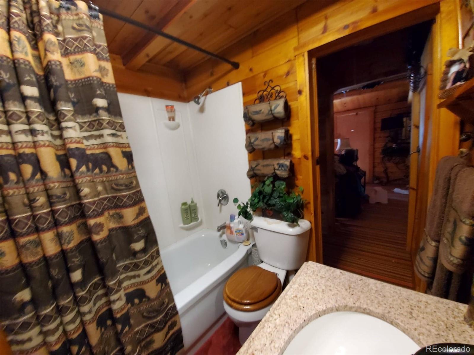 MLS Image #3 for 22585  county road 292 ,nathrop, Colorado