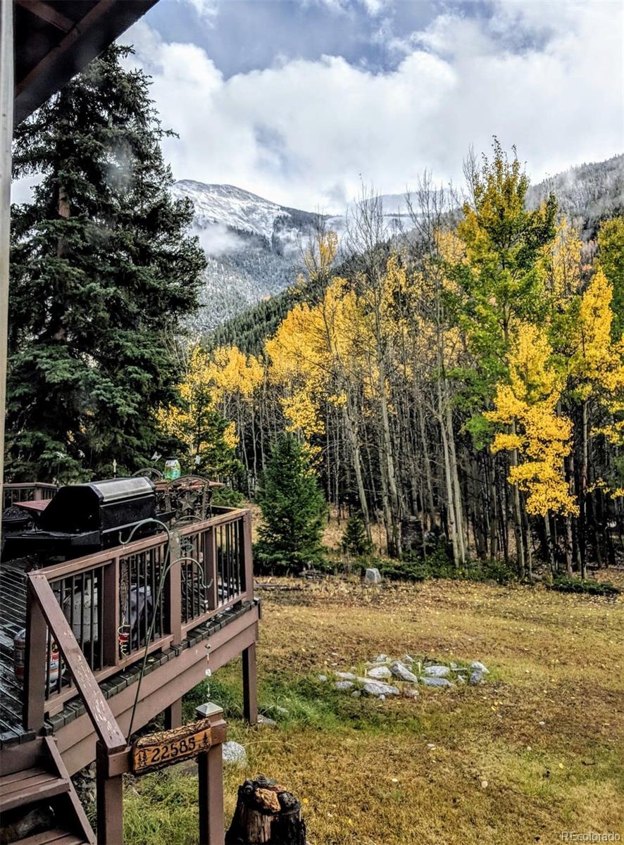 MLS Image #30 for 22585  county road 292 ,nathrop, Colorado
