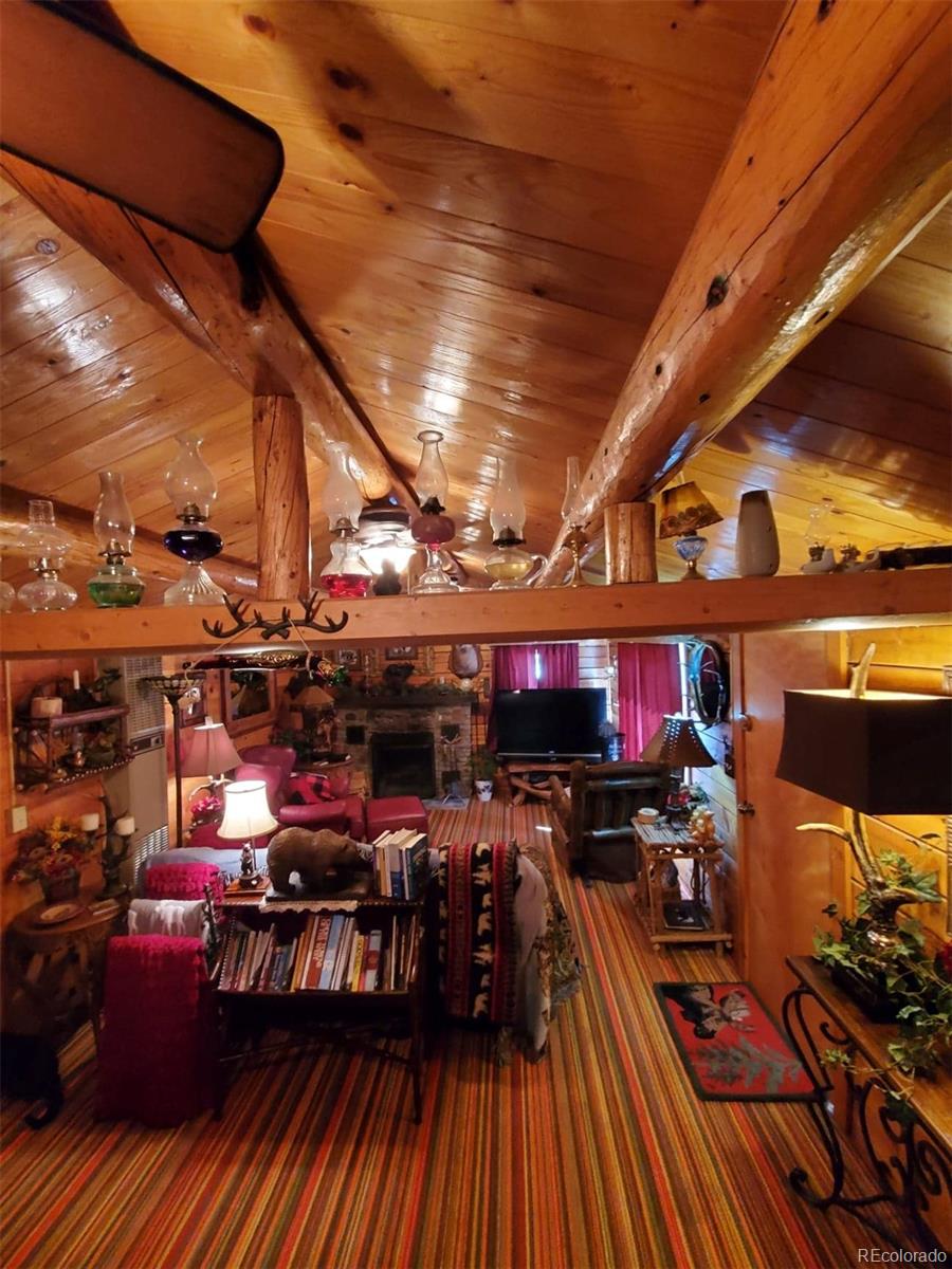 MLS Image #36 for 22585  county road 292 ,nathrop, Colorado