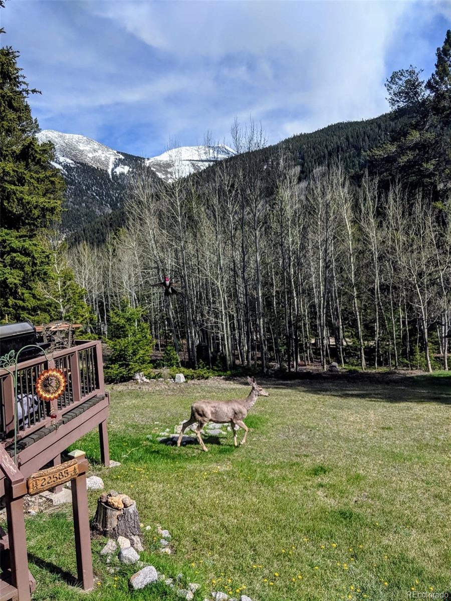 MLS Image #37 for 22585  county road 292 ,nathrop, Colorado