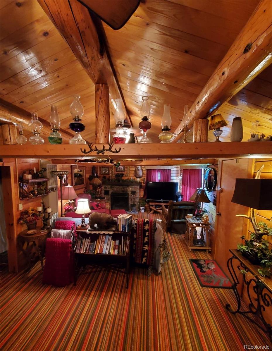MLS Image #38 for 22585  county road 292 ,nathrop, Colorado