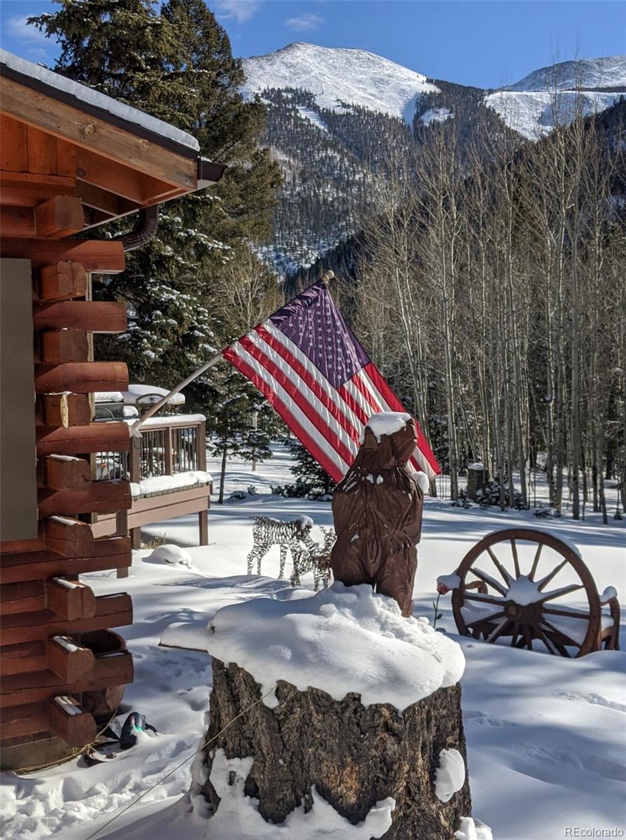 MLS Image #43 for 22585  county road 292 ,nathrop, Colorado