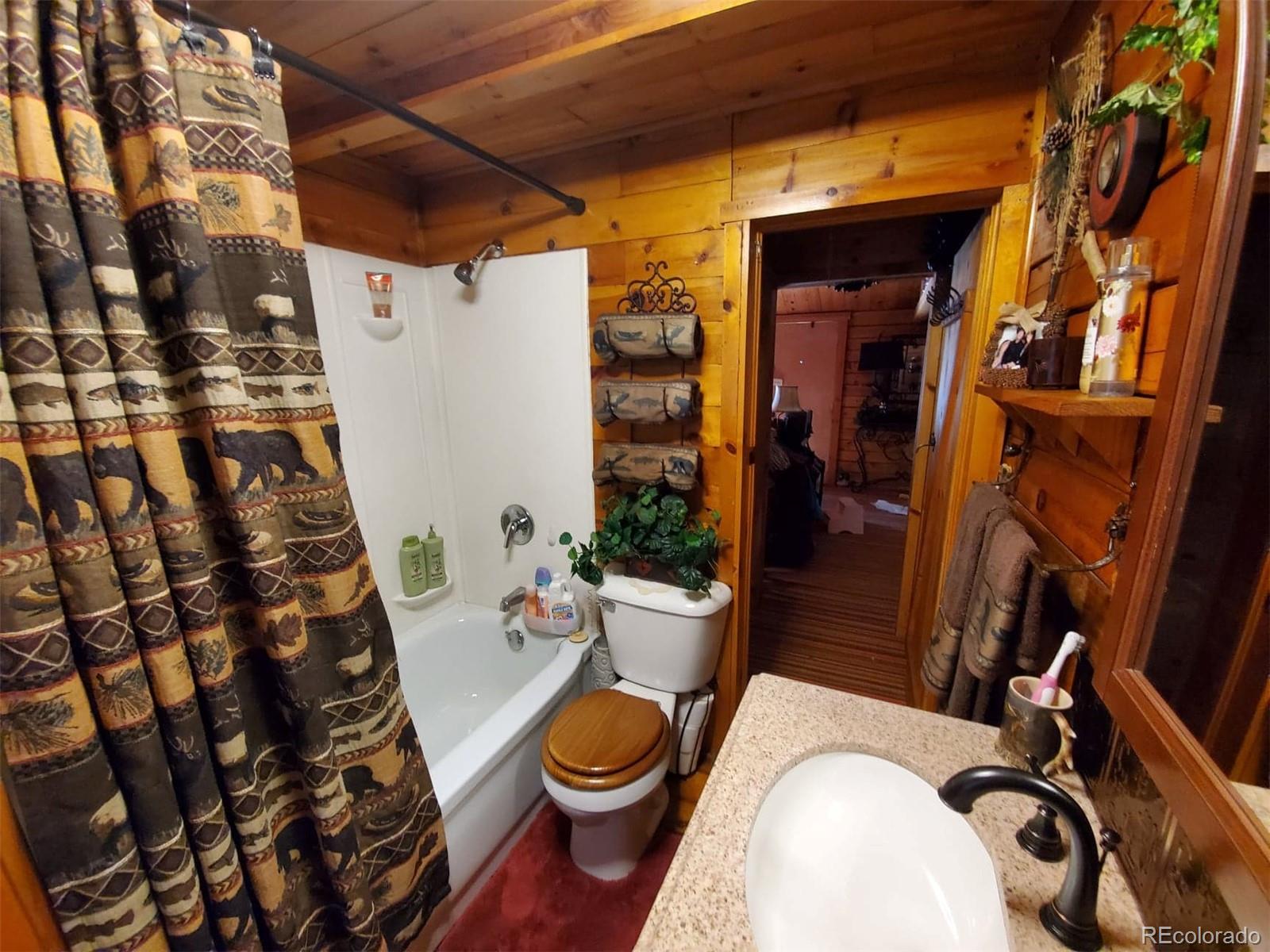 MLS Image #5 for 22585  county road 292 ,nathrop, Colorado
