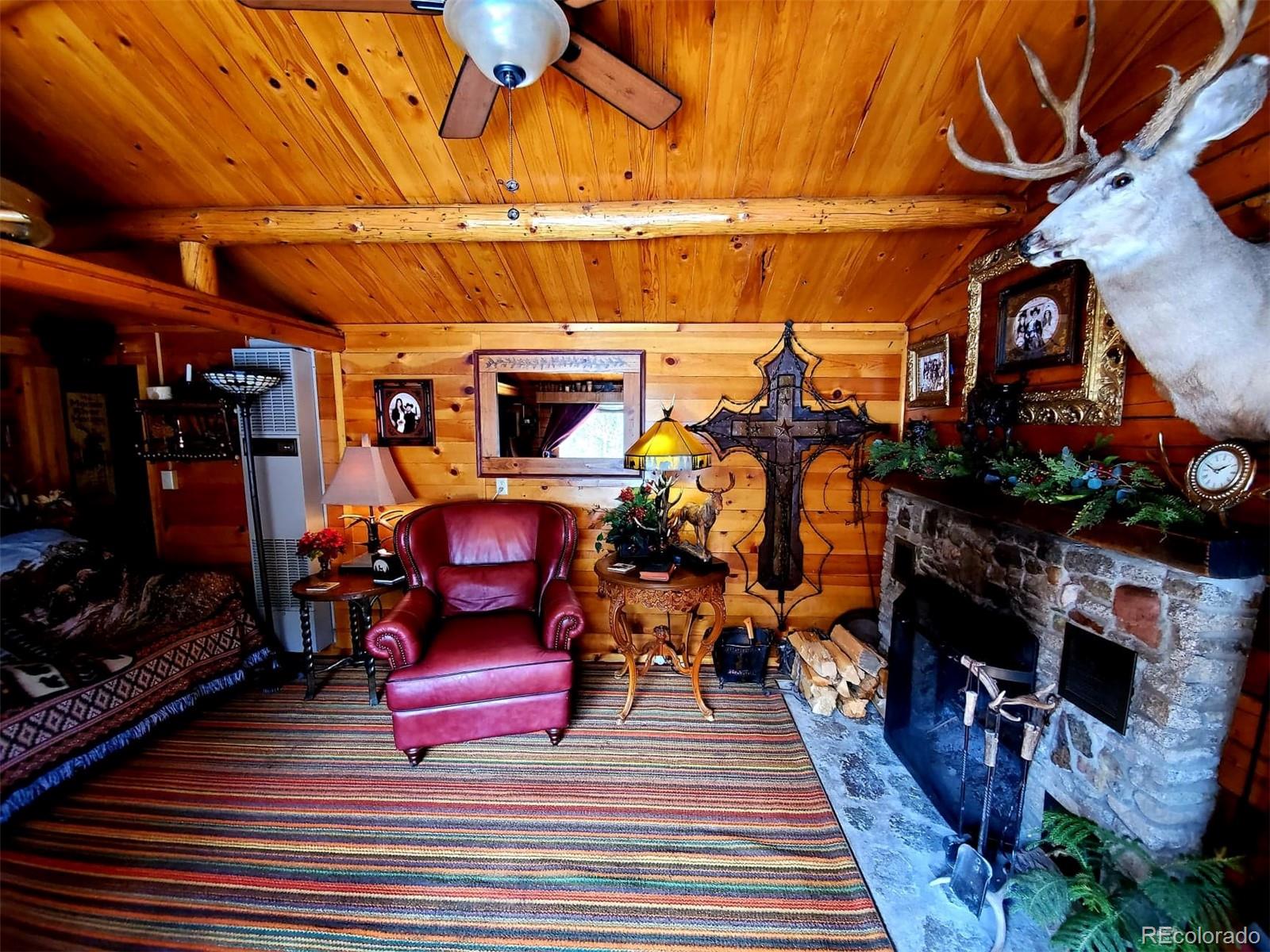 MLS Image #6 for 22585  county road 292 ,nathrop, Colorado