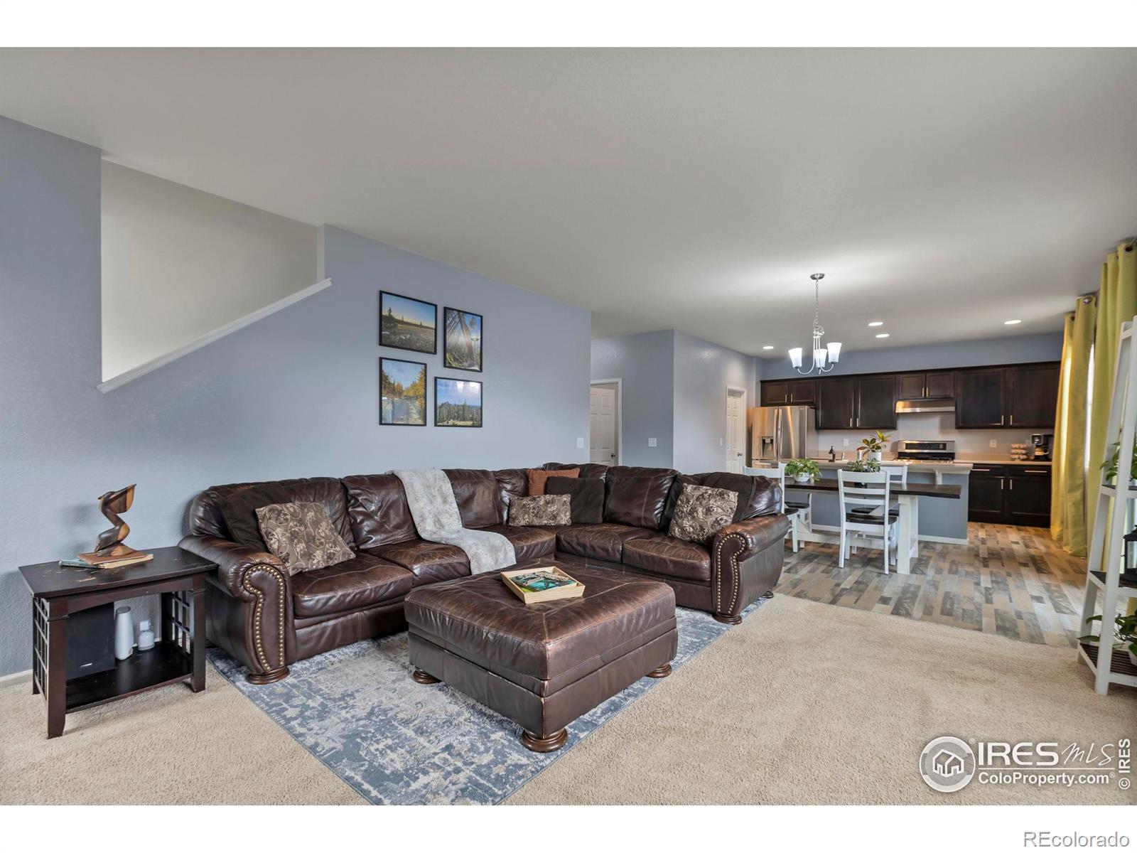 MLS Image #14 for 3623  daylily street,wellington, Colorado