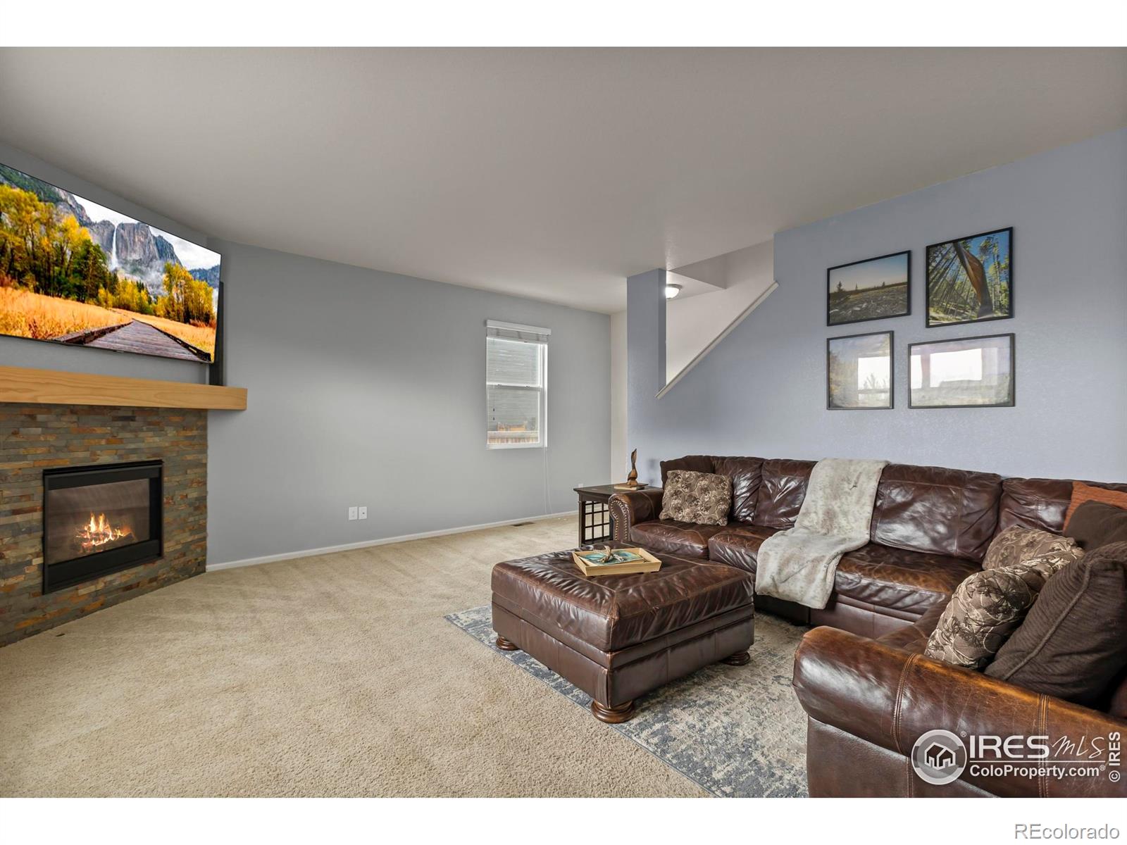 MLS Image #15 for 3623  daylily street,wellington, Colorado