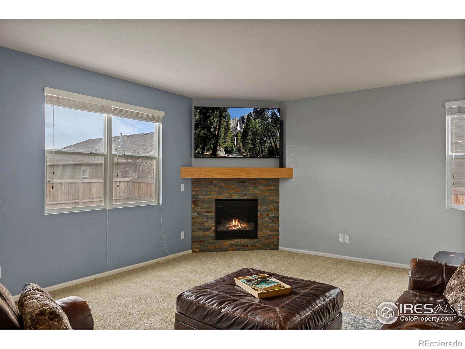 MLS Image #16 for 3623  daylily street,wellington, Colorado