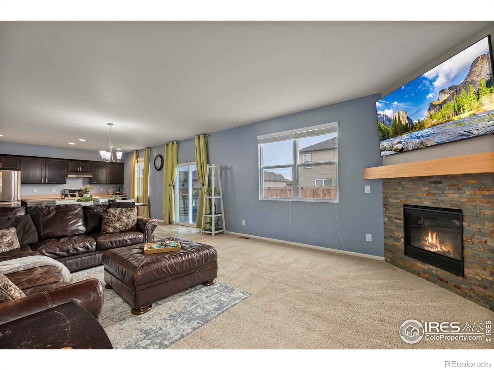 MLS Image #17 for 3623  daylily street,wellington, Colorado