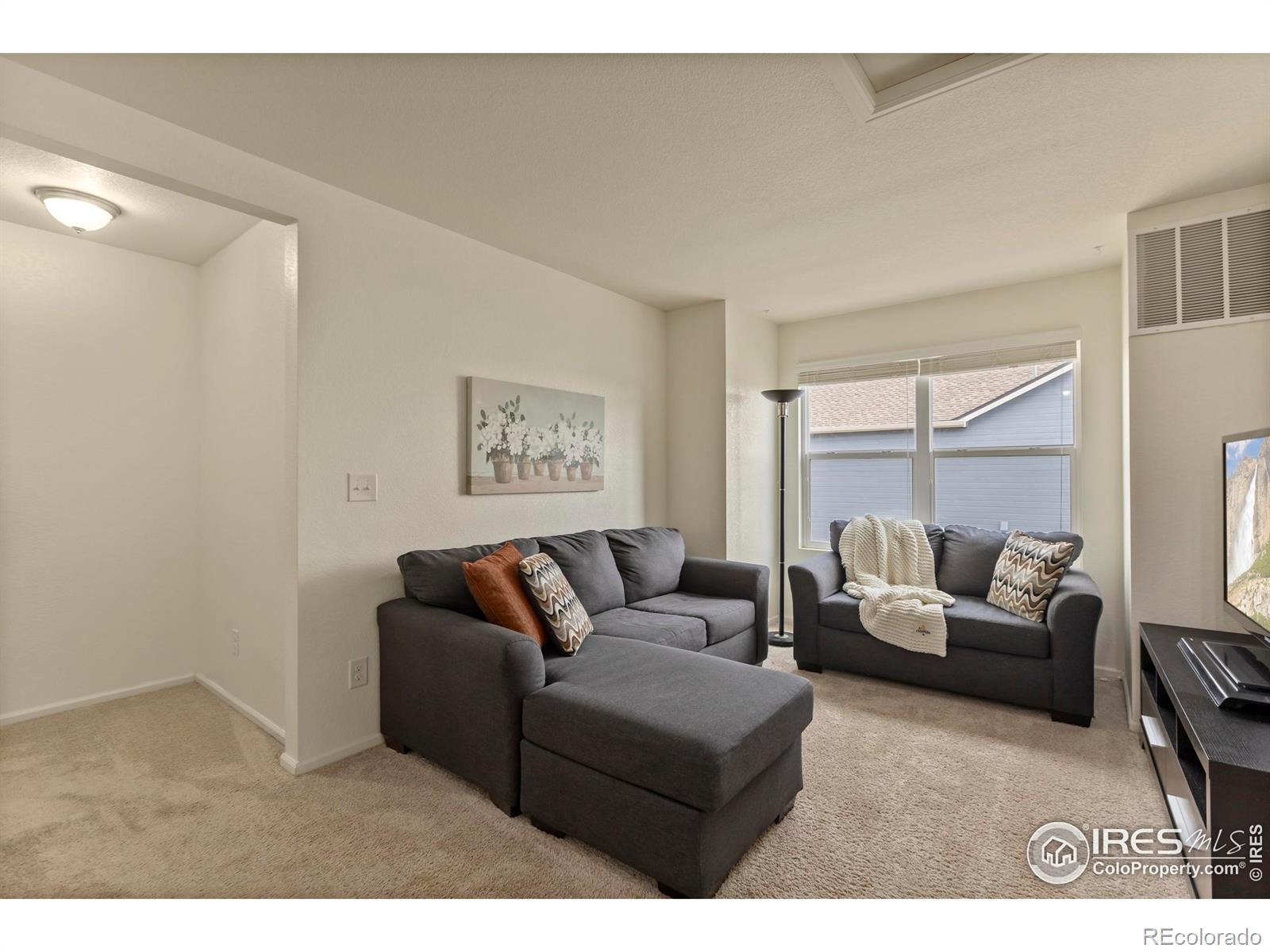 MLS Image #19 for 3623  daylily street,wellington, Colorado