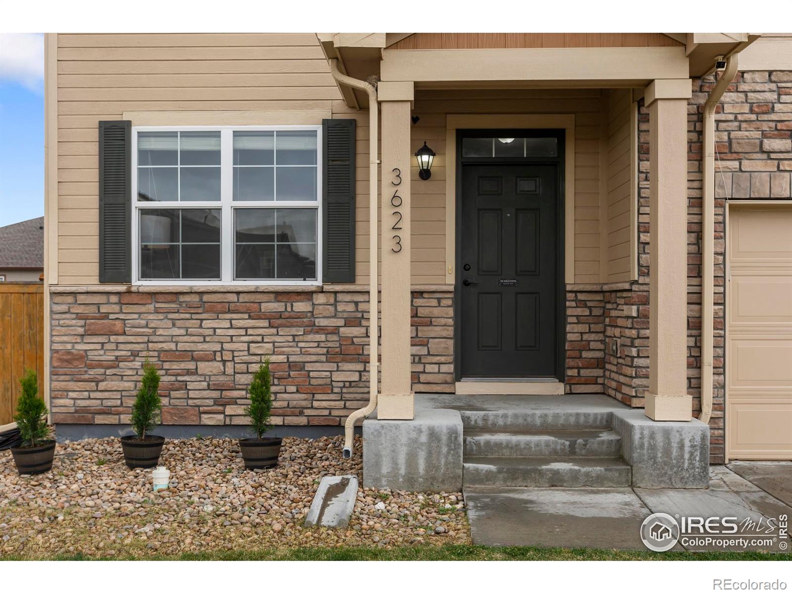 MLS Image #2 for 3623  daylily street,wellington, Colorado