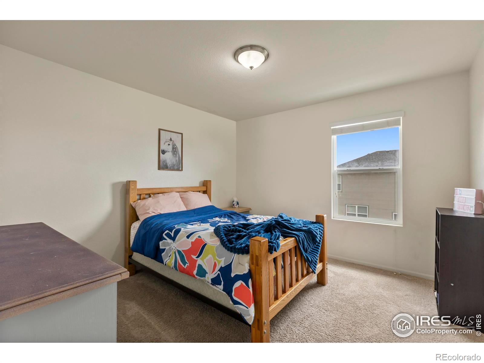 MLS Image #24 for 3623  daylily street,wellington, Colorado