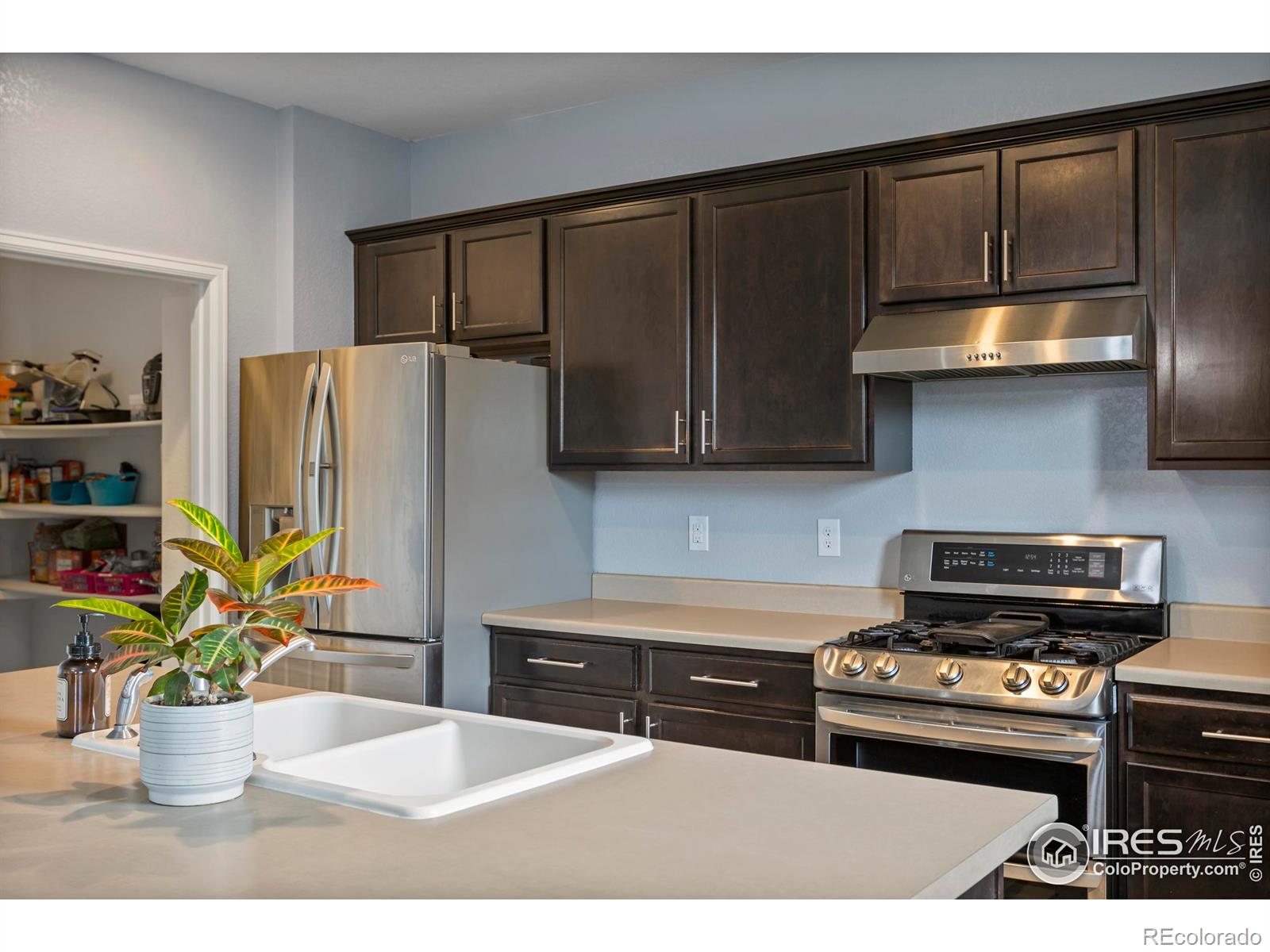 MLS Image #9 for 3623  daylily street,wellington, Colorado