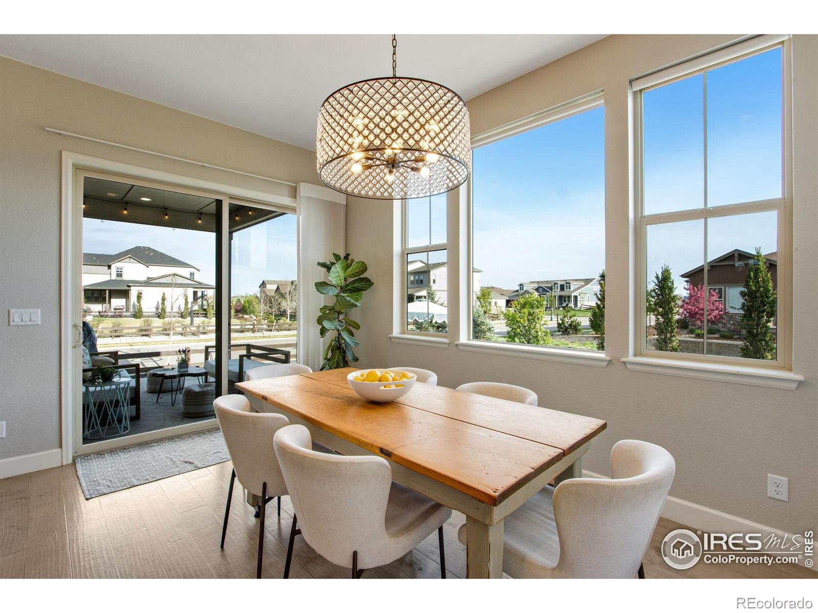 MLS Image #16 for 7055  lightning court,timnath, Colorado