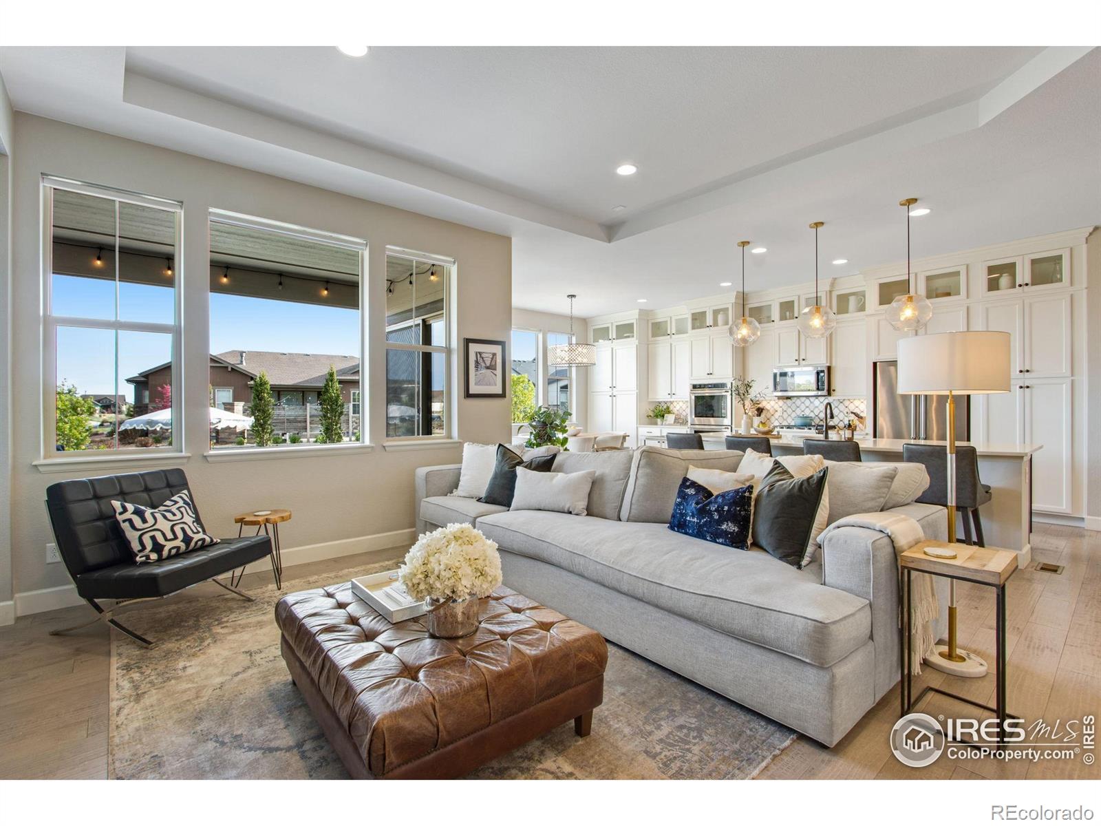 MLS Image #18 for 7055  lightning court,timnath, Colorado