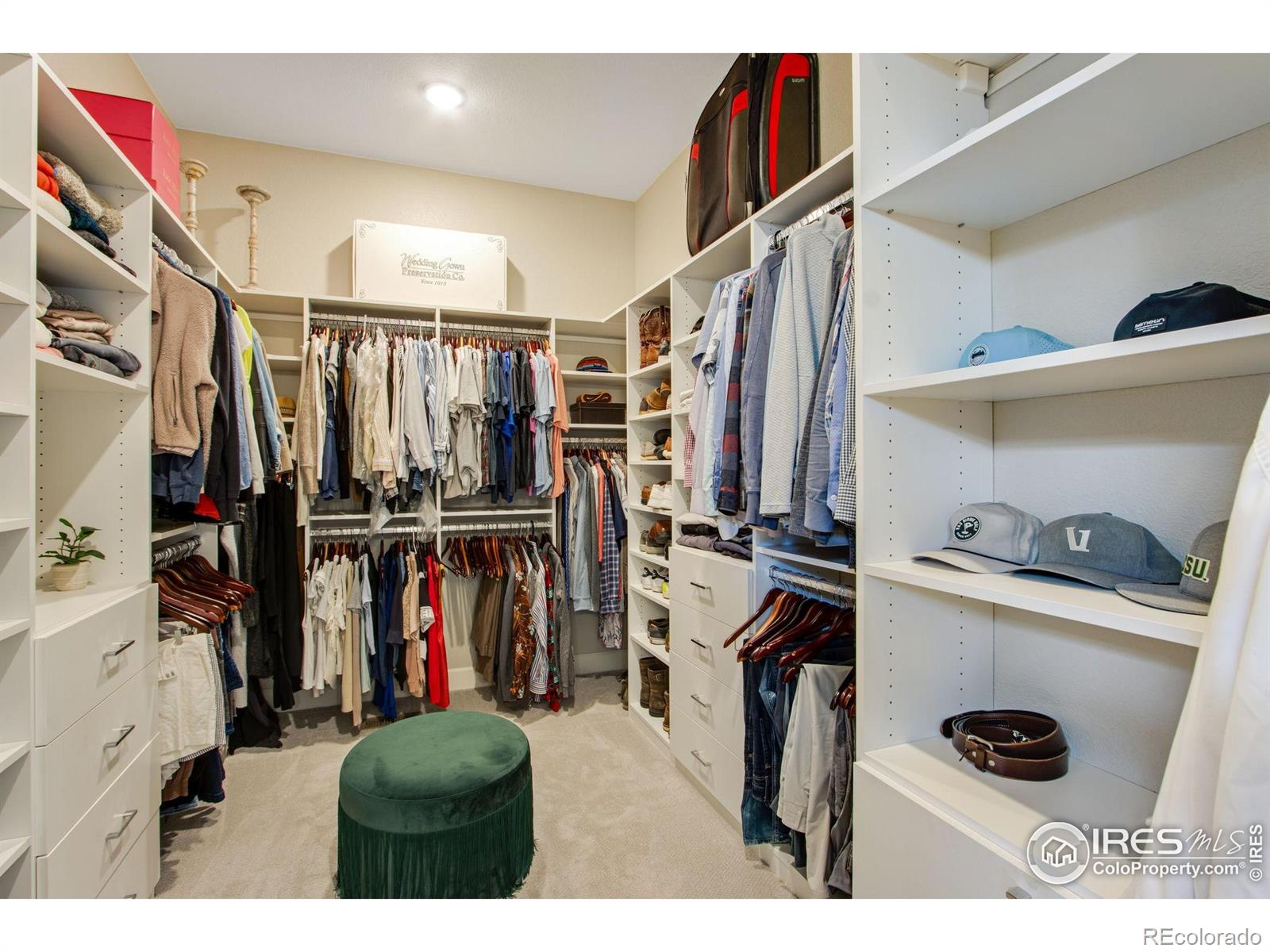 MLS Image #26 for 7055  lightning court,timnath, Colorado
