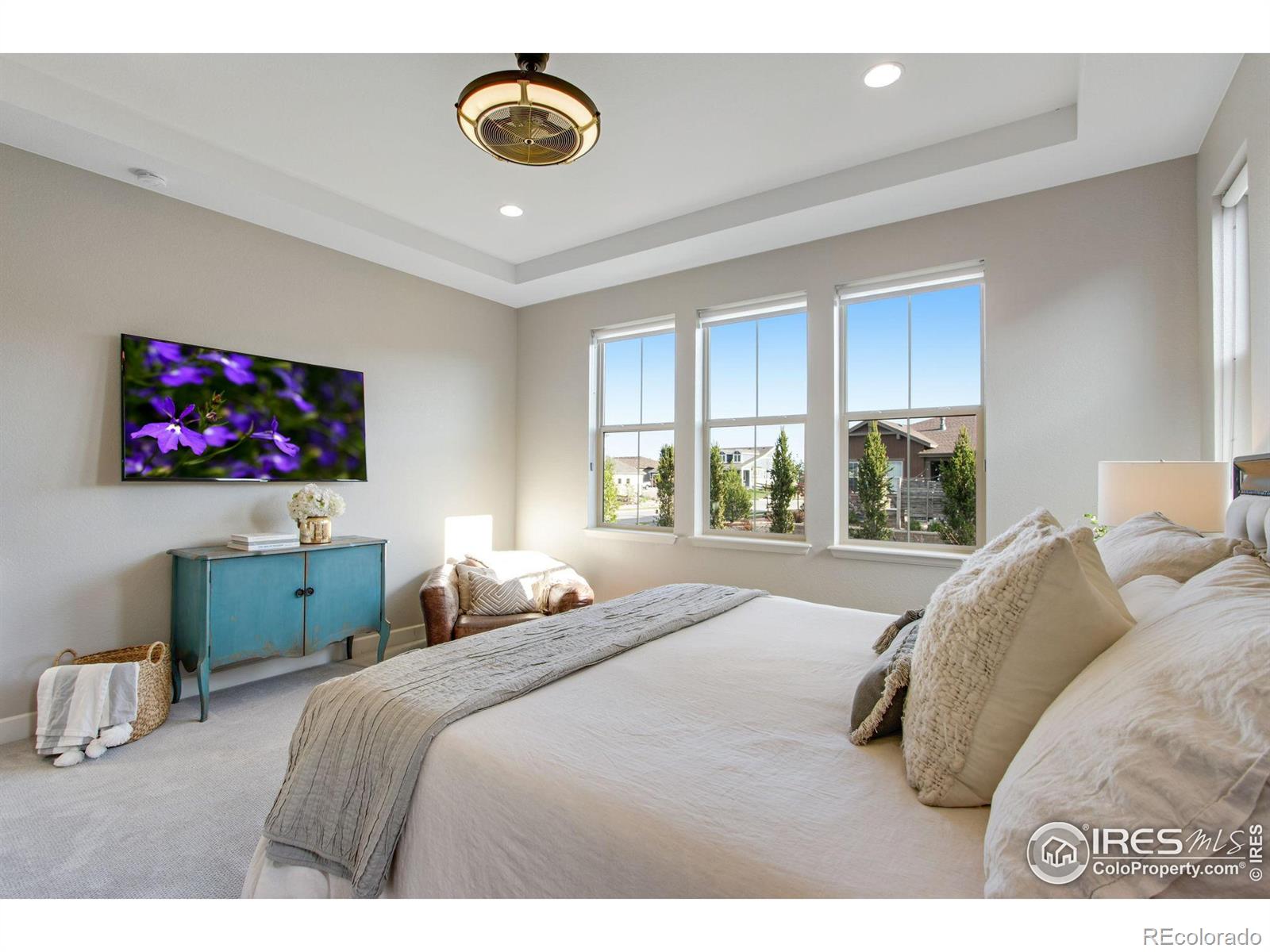 MLS Image #27 for 7055  lightning court,timnath, Colorado