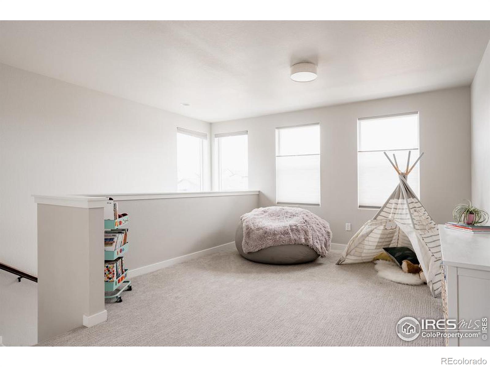 MLS Image #13 for 2951  conquest street,fort collins, Colorado