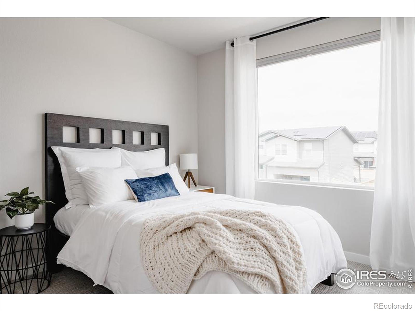 MLS Image #15 for 2951  conquest street,fort collins, Colorado