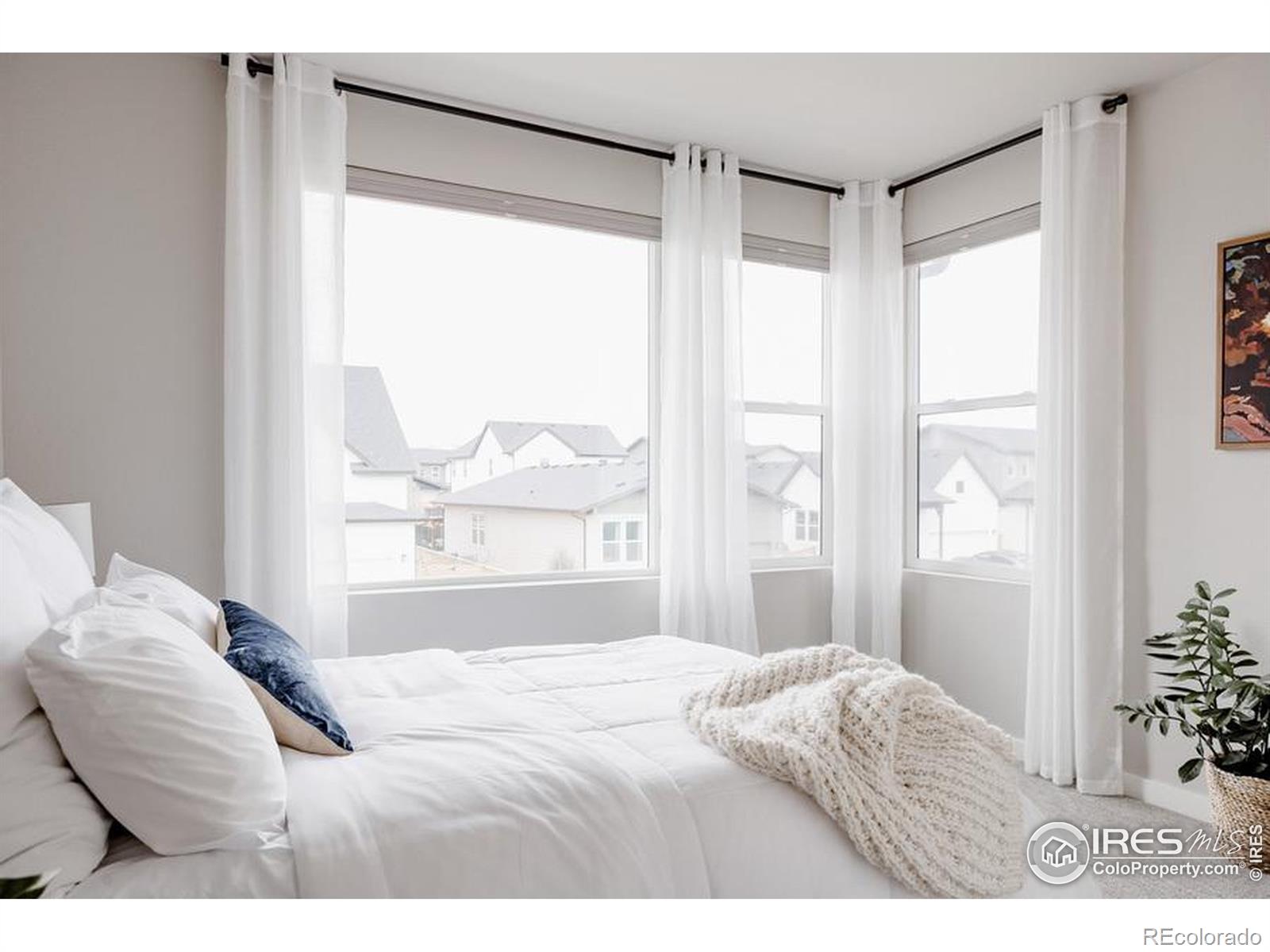 MLS Image #16 for 2951  conquest street,fort collins, Colorado