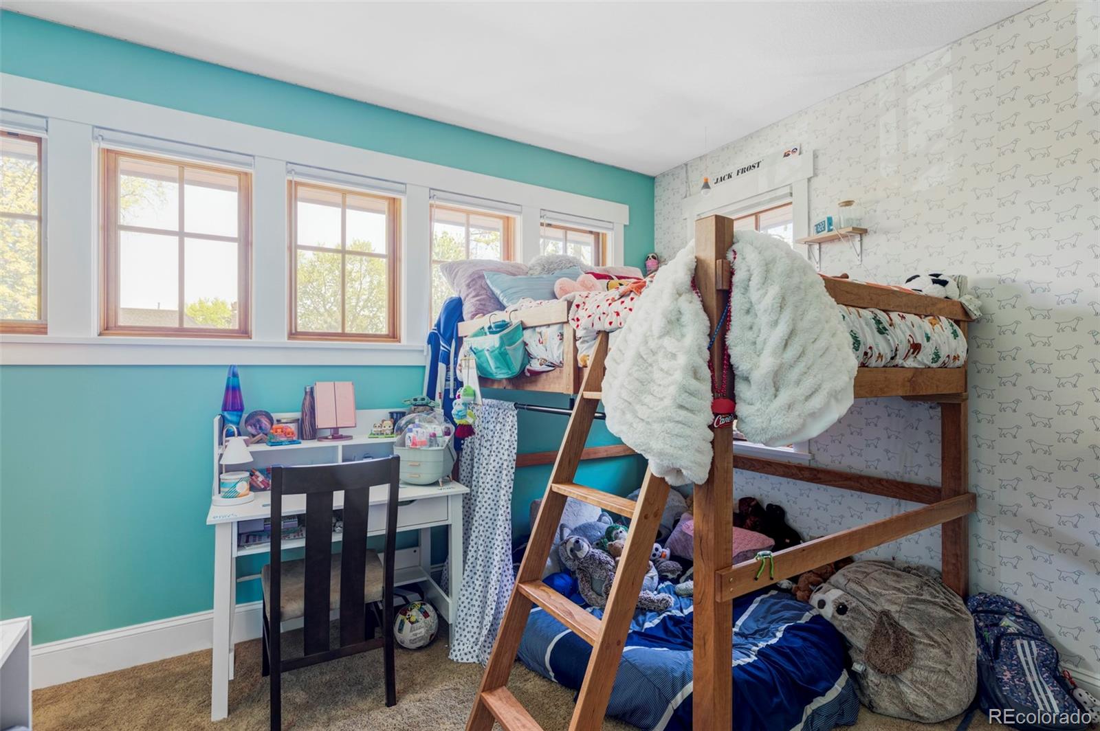 MLS Image #27 for 1143 s saint paul street,denver, Colorado