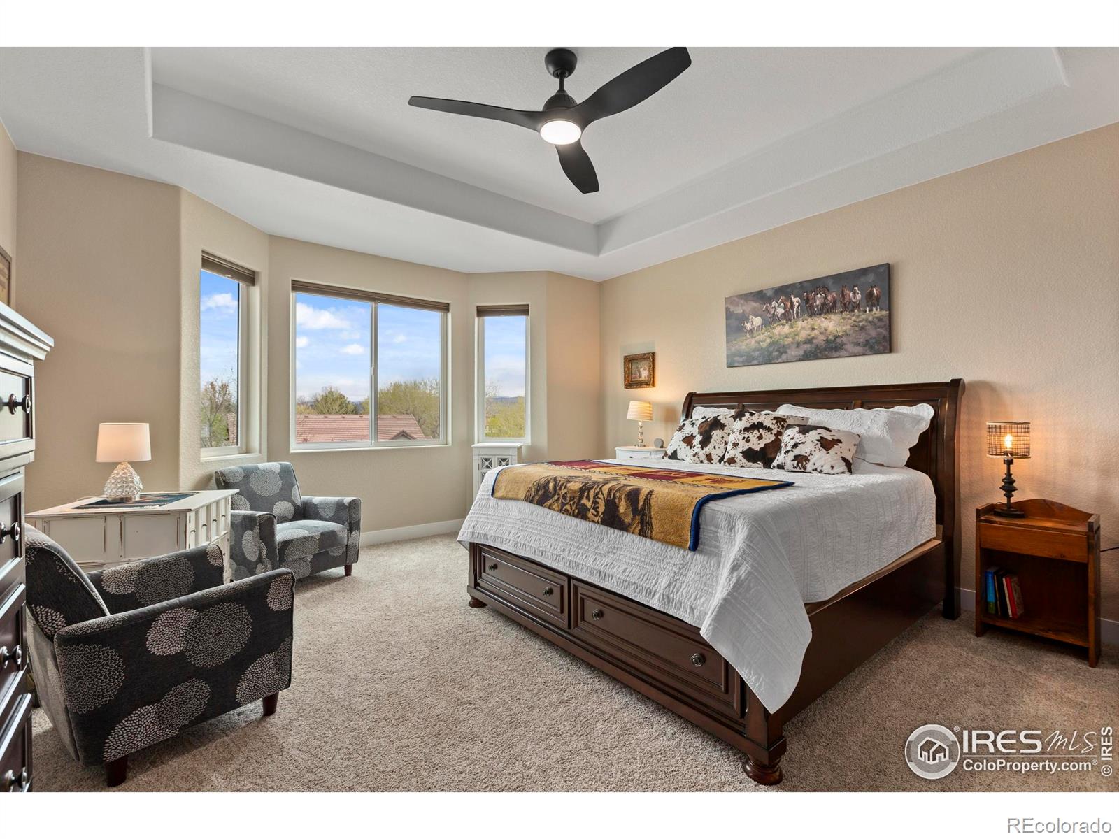MLS Image #17 for 1603  plank lane,fort collins, Colorado