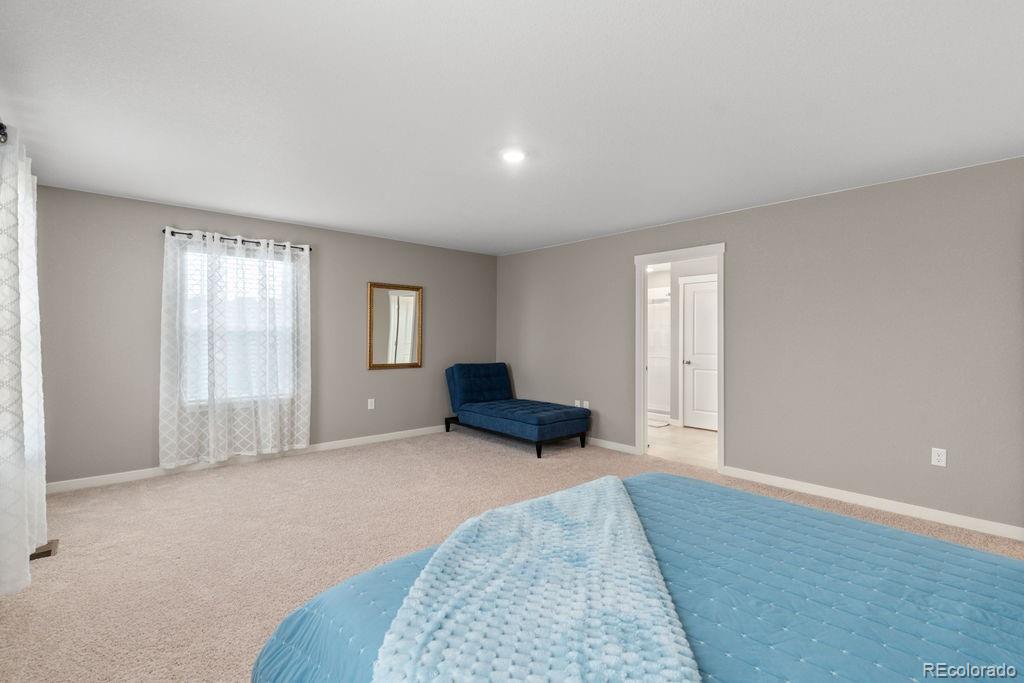 MLS Image #19 for 2186  prairie smoke drive,monument, Colorado