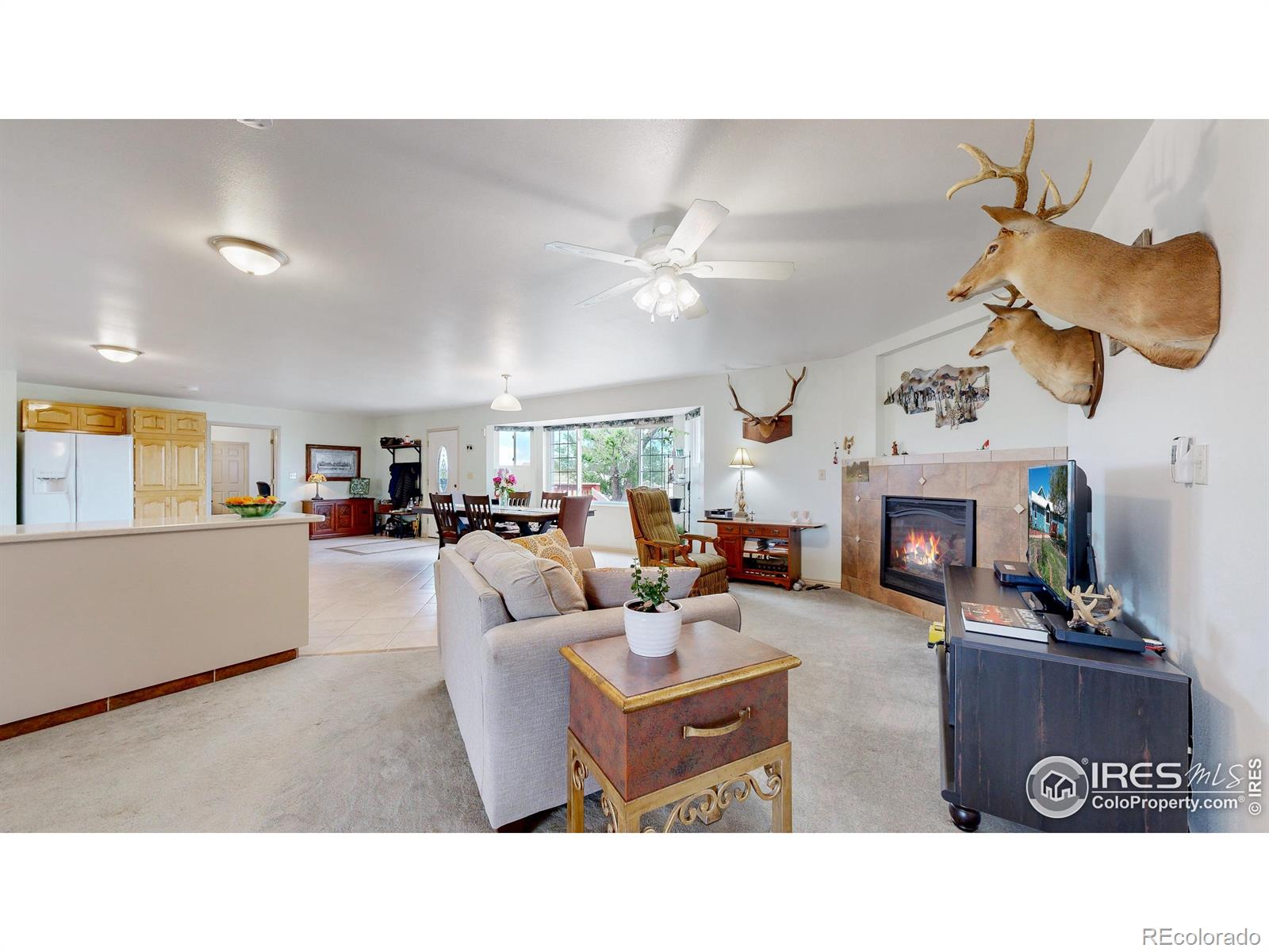 MLS Image #14 for 18309  county road 86 ,ault, Colorado
