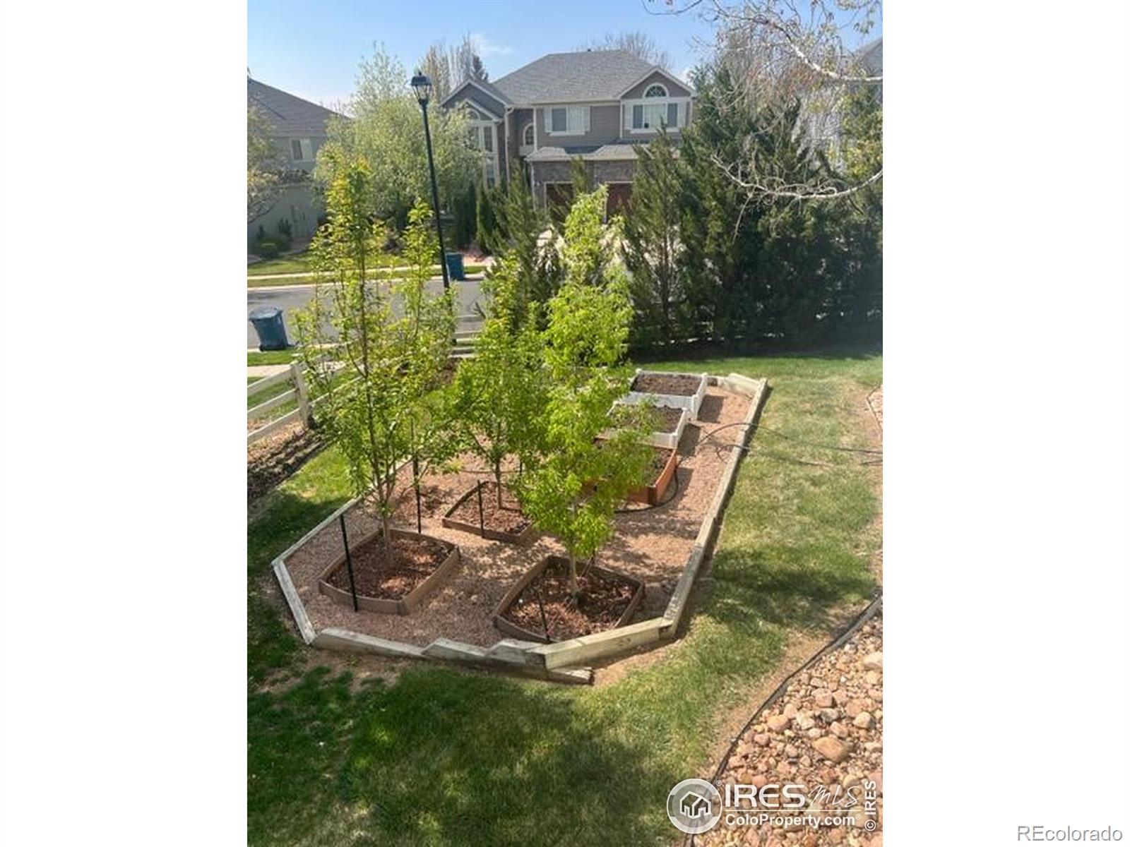 MLS Image #4 for 14100  doral court,broomfield, Colorado