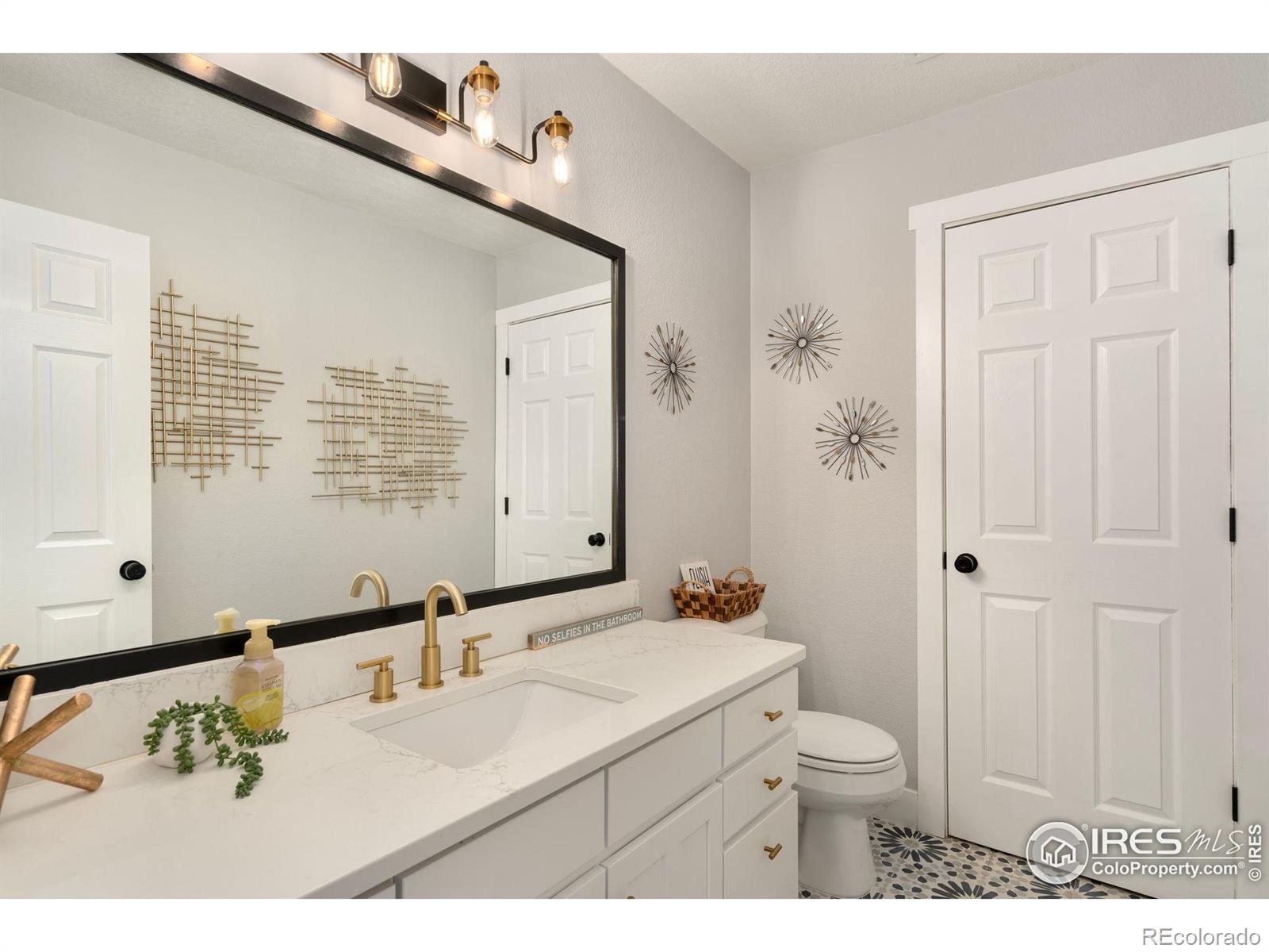 MLS Image #12 for 4400  red fox court,loveland, Colorado