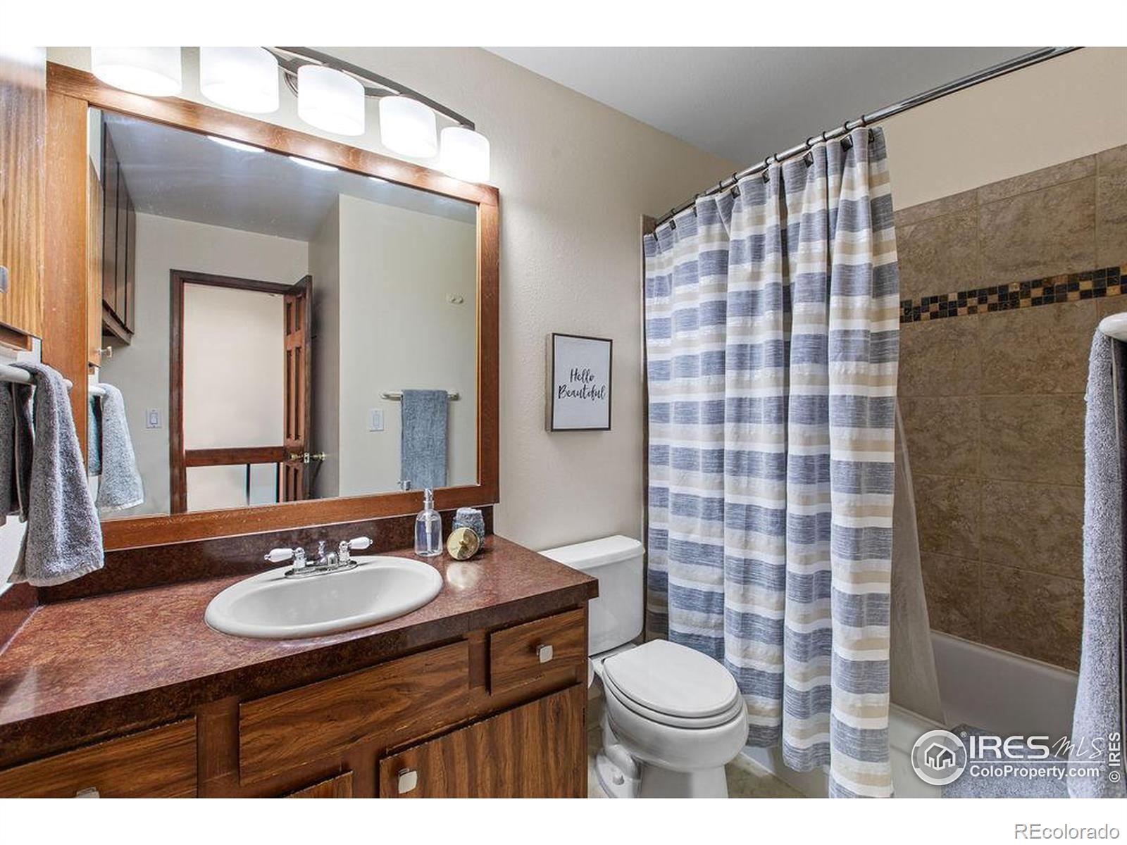MLS Image #16 for 1331  birch street,fort collins, Colorado