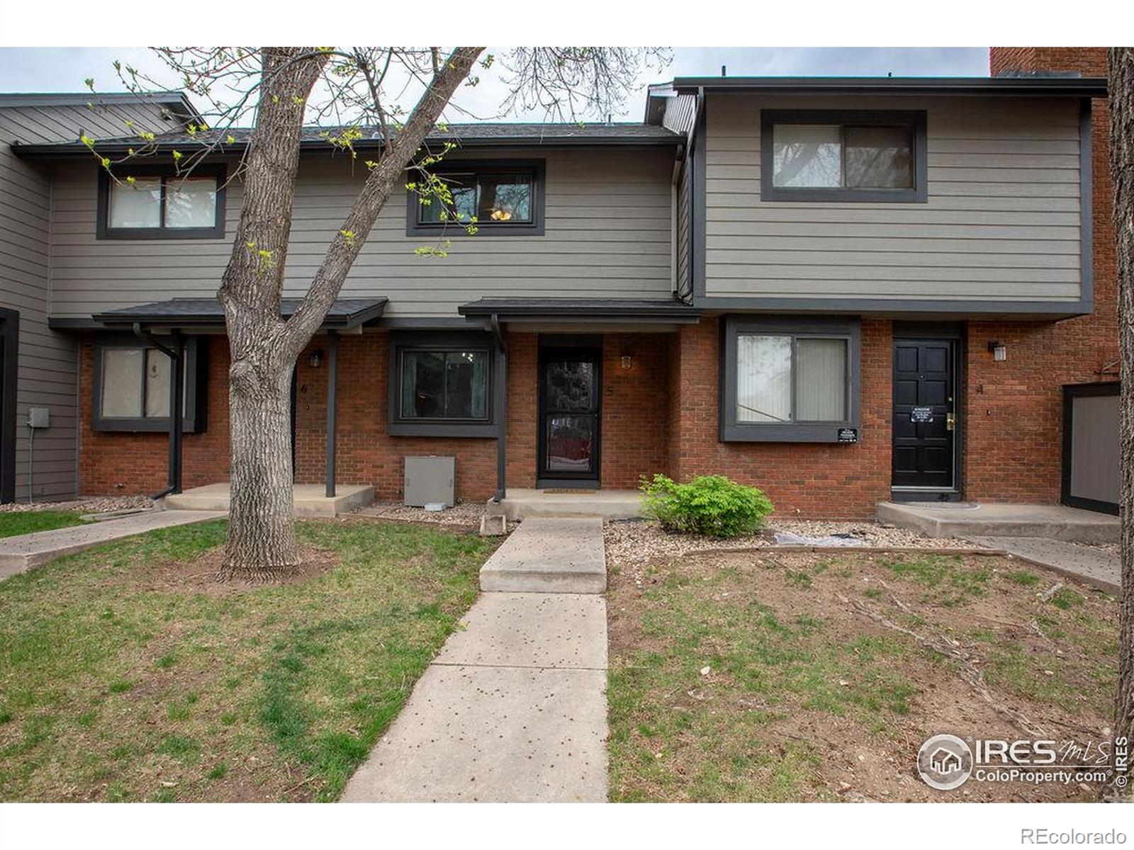 MLS Image #3 for 1331  birch street,fort collins, Colorado