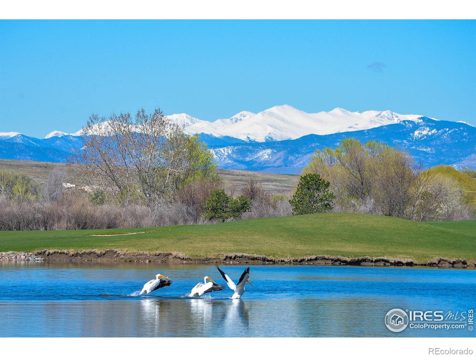 MLS Image #37 for 2041  bayfront drive,windsor, Colorado
