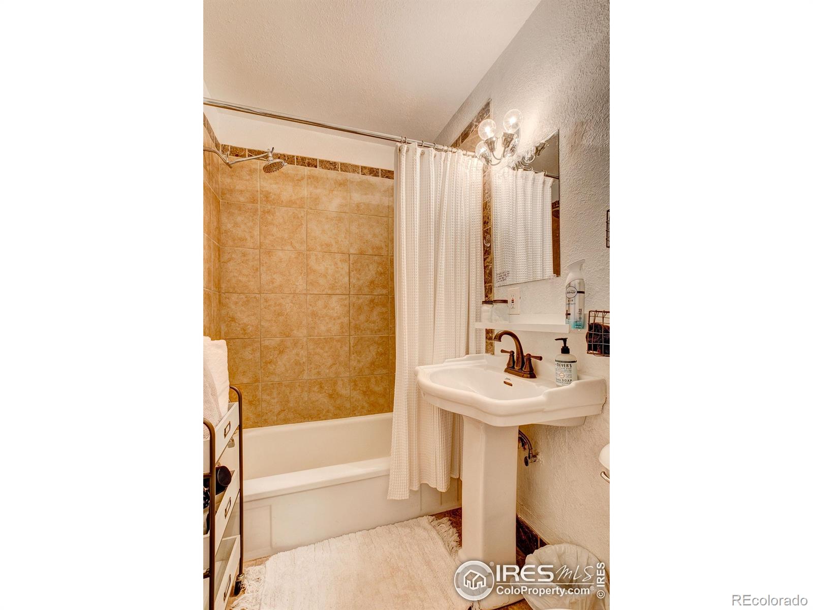 MLS Image #19 for 16  misty manor road,drake, Colorado