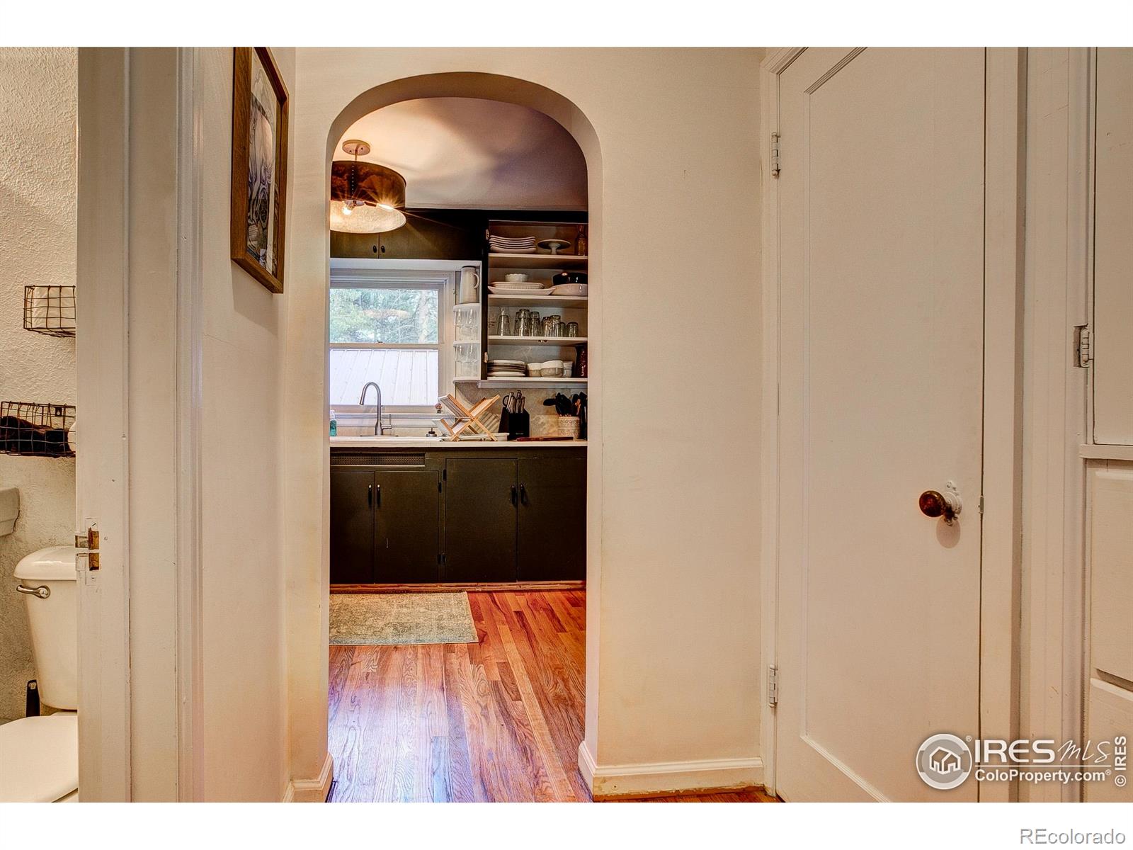 MLS Image #29 for 16  misty manor road,drake, Colorado