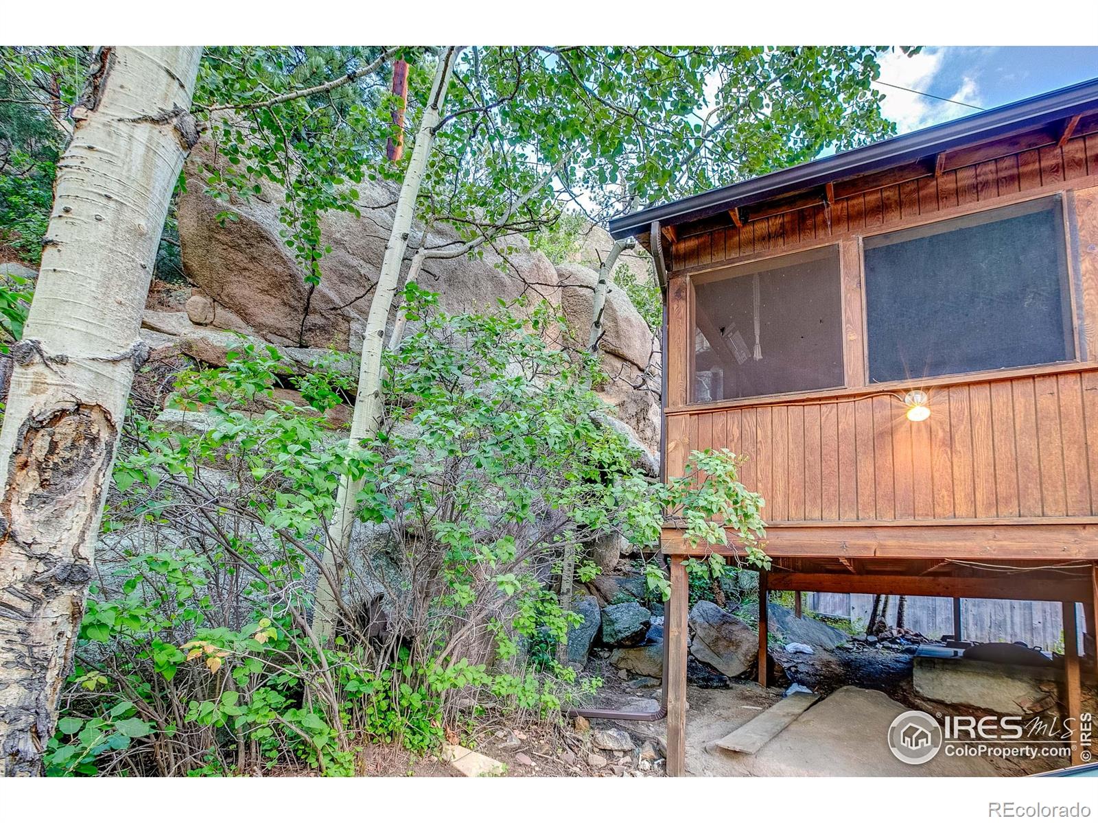 MLS Image #3 for 16  misty manor road,drake, Colorado
