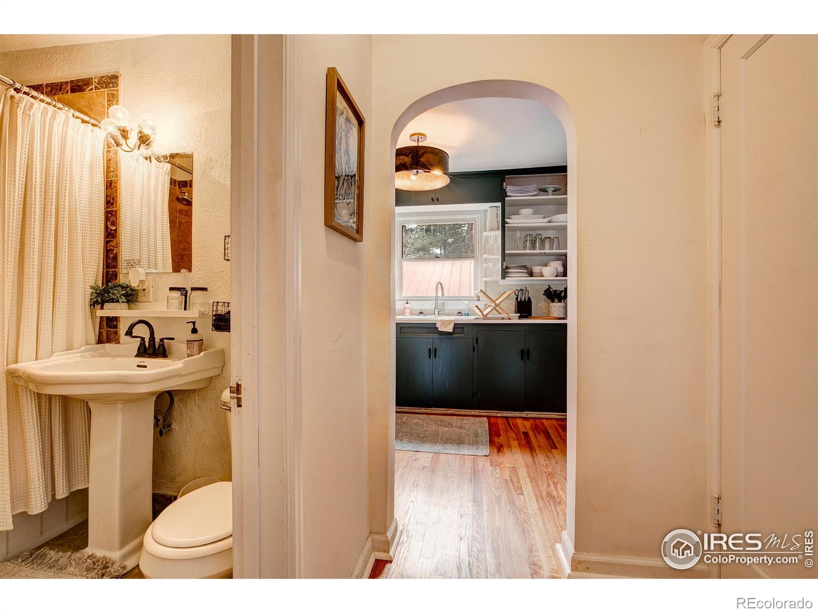 MLS Image #33 for 16  misty manor road,drake, Colorado