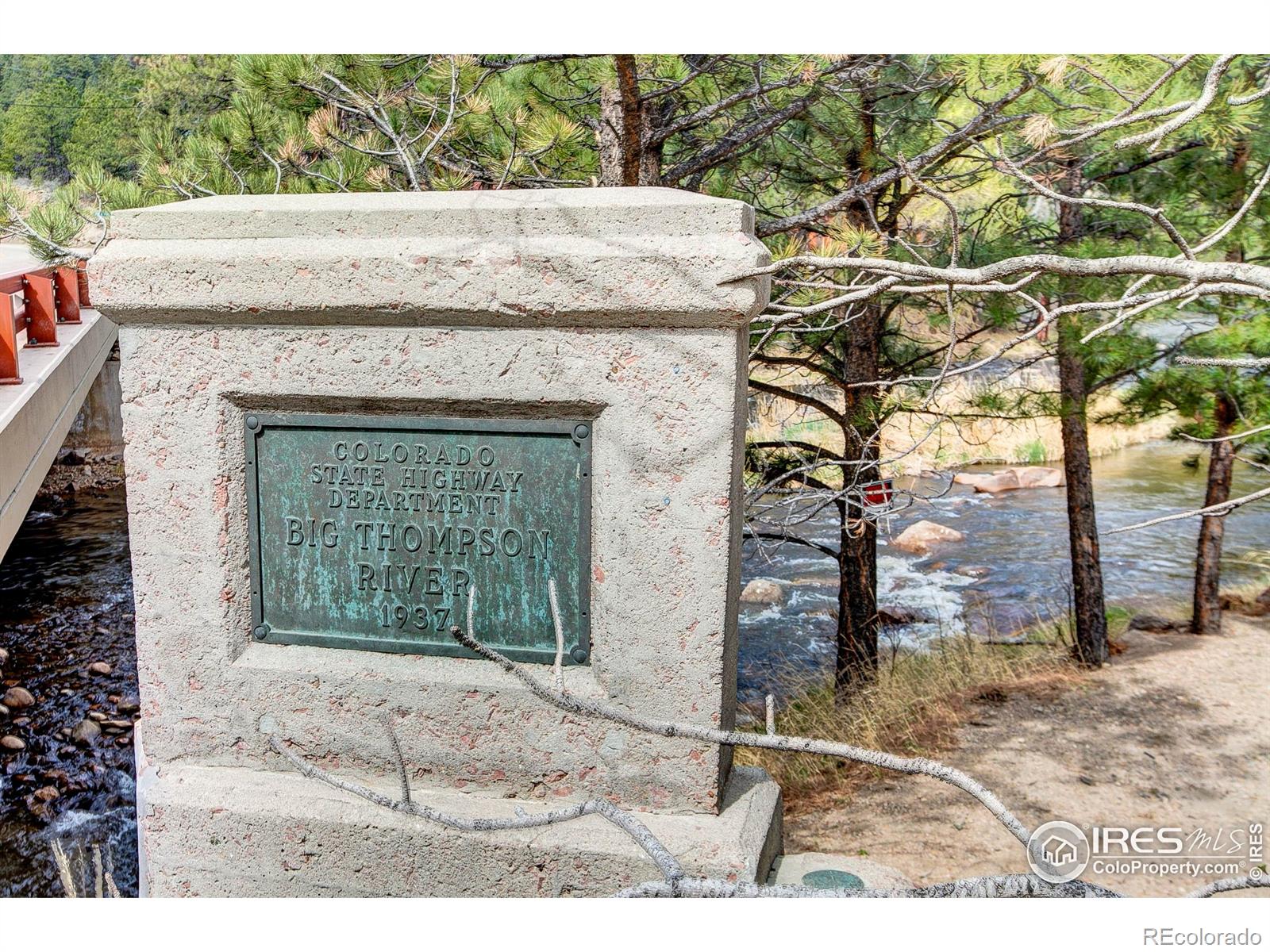 MLS Image #5 for 16  misty manor road,drake, Colorado