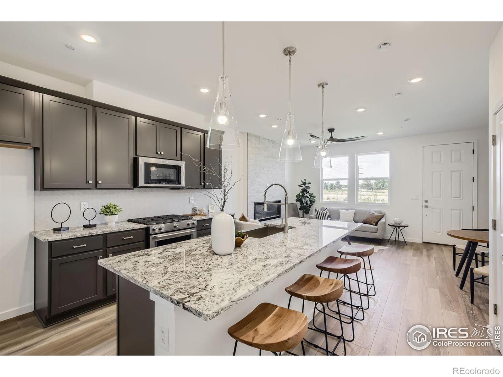 MLS Image #1 for 2729  bear springs circle,longmont, Colorado