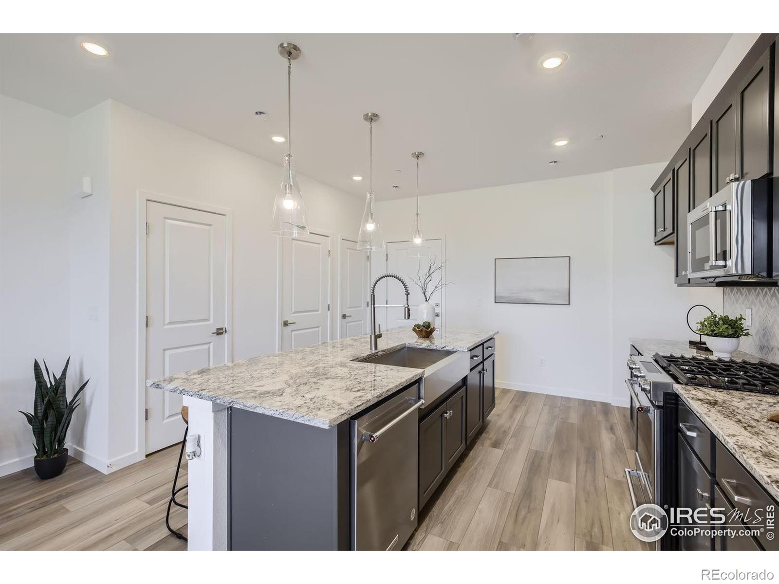 MLS Image #4 for 2729  bear springs circle,longmont, Colorado