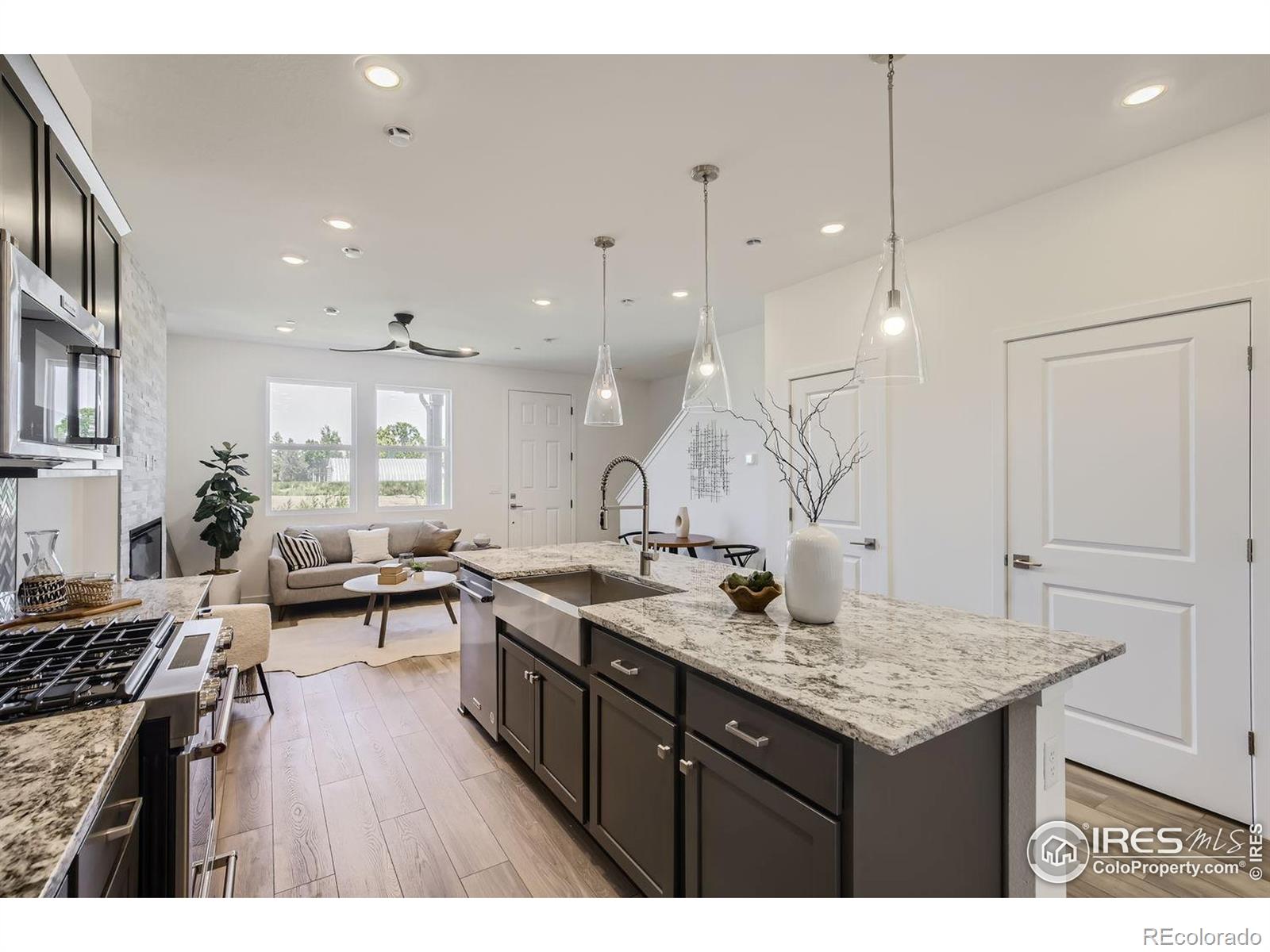 MLS Image #5 for 2729  bear springs circle,longmont, Colorado